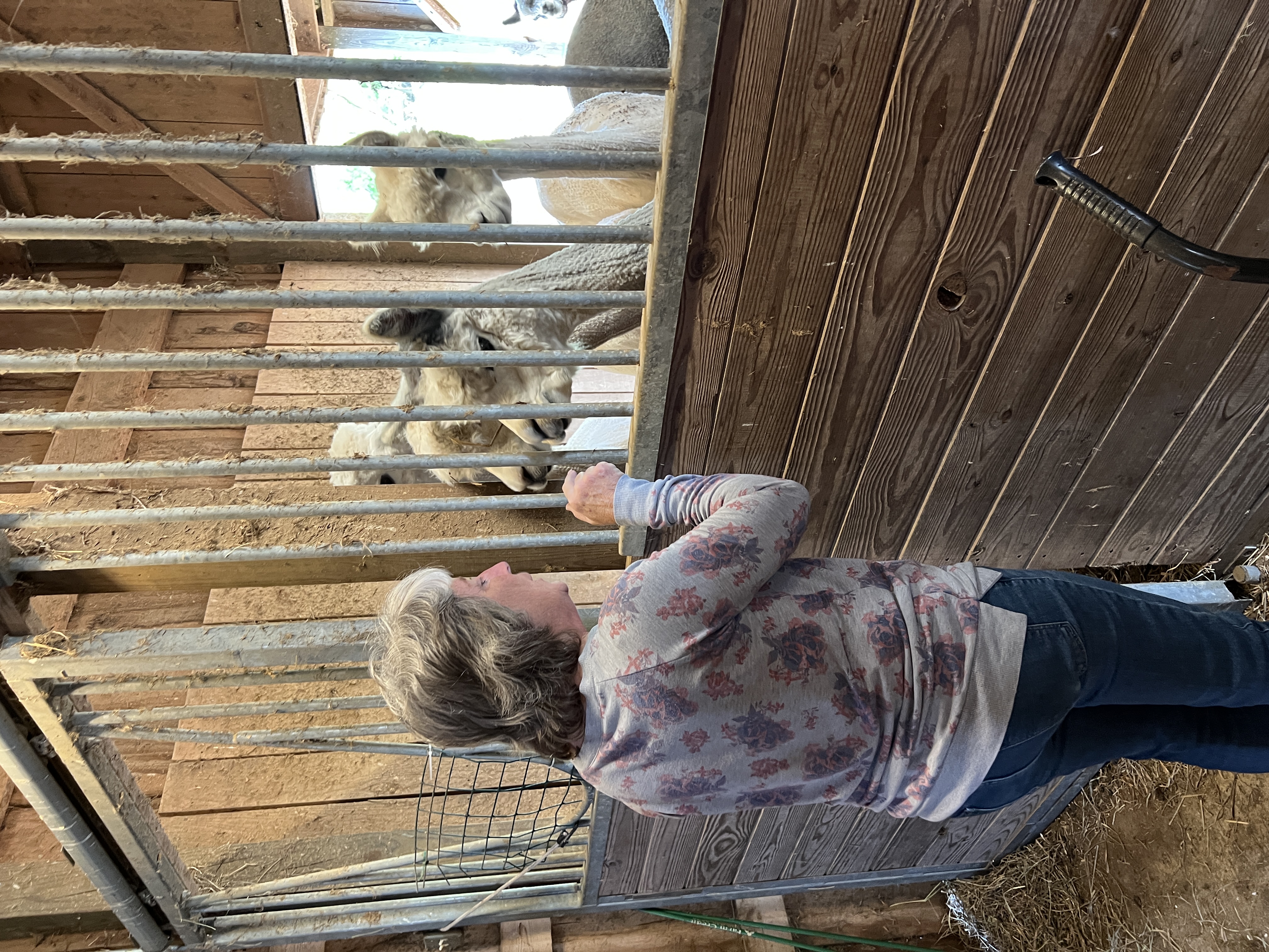 ./2025/04 - Virginia Creeper/IMG_5590.JPG